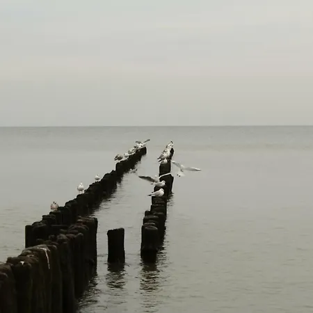 公寓 Anna Park Rodzinna