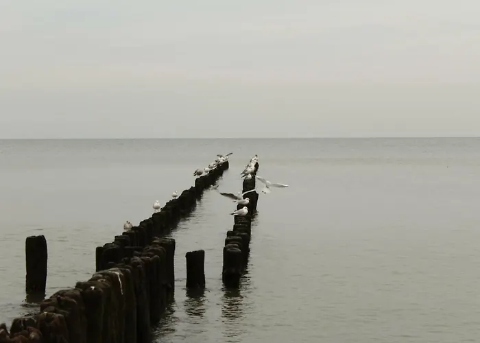 Apartment Anna Park Rodzinna